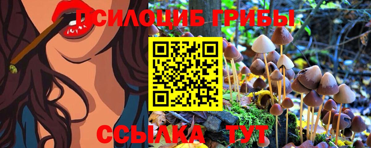 Борисоглебск  Псилоцибиновые грибы MAGIC MUSHROOMS  Вход с VPN  Галлюциногенные грибы Psilocybe 